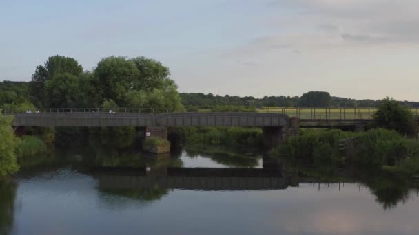 Vista Lateral Vía Férrea Sobre Prado Verde Bosque Denso Que — Vídeo de stock