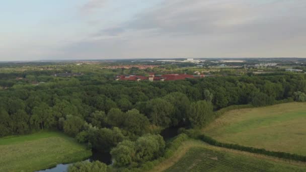 Letecký Pohled Bujnou Zelenou Zemědělskou Půdu Obklopenou Hustým Lesem Krásné — Stock video