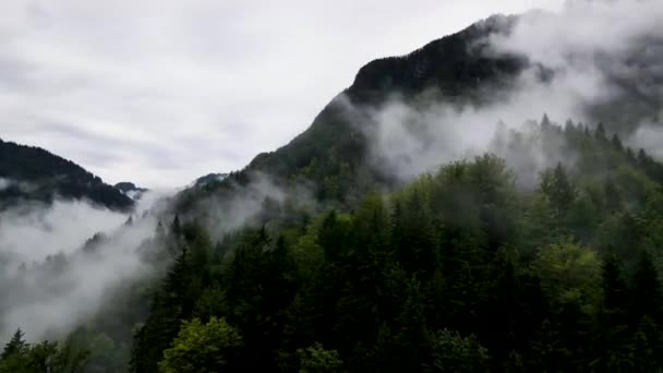 Slovenië Misty Mountain Landscape Luchtvaart Drone Mp4 — Stockvideo