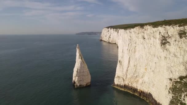 Gaivotas Voadoras Penhascos Old Harry Rocks Ilha Purbeck Dorset Inglaterra — Vídeo de Stock