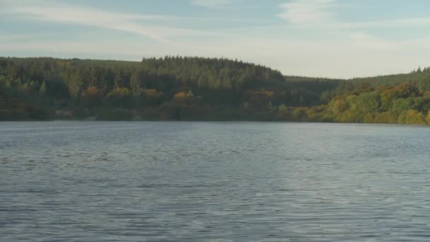 Hermosa Vista Del Tranquilo Lago Del Bosque — Vídeo de stock