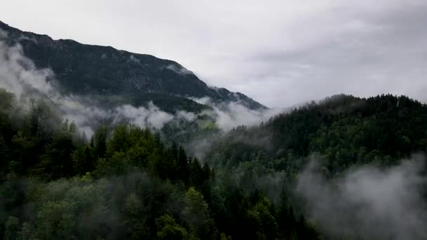 Словения Misty Mountain Landscape Aerial Drone Mp4 — стоковое видео
