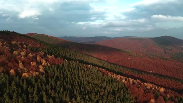 Vzdušný Přelet Nad Horským Lesem Syté Živé Podzimní Barvě — Stock video