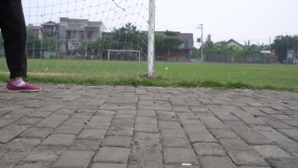 Algunas Personas Trotan Pista Jogging Para Salud — Vídeo de stock