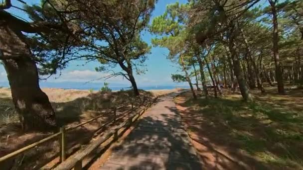 在阳光明媚的日子里 在阳光明媚的大海中 沿着亚鲁萨岛上的木制木板人行道前行 西班牙加利西亚 — 图库视频影像