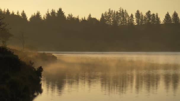 Schöne Seeszene Bei Sonnenaufgang Nebel Über Sanfter Seeoberfläche — Stockvideo