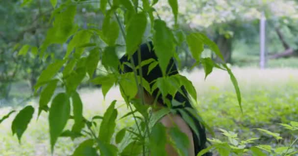 一位年轻女子走在热带公园里 她的前景色是一片大树上的树叶 — 图库视频影像