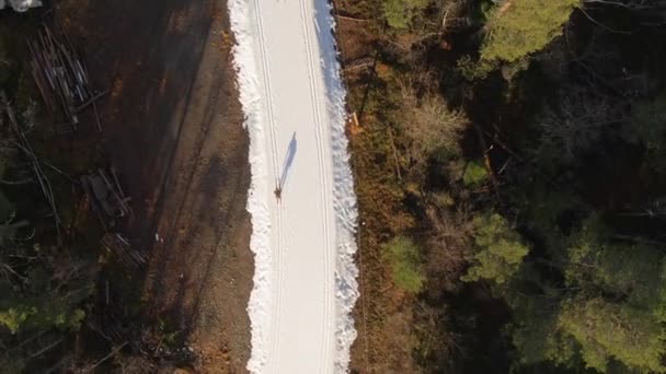 Hombre Esquiando Por Sendero Nevado Rodeado Árboles Forestales Alpinos Drone — Vídeo de stock