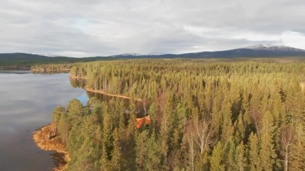 Drone Flying Swedish Lakefront Alpine Forest Trees Molnig Dag — Stockvideo