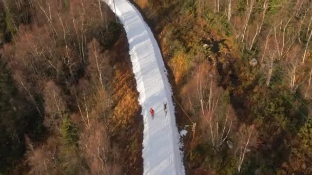 Esquiadores Esqui Para Baixo Neve Coberto Trilha Caminho Floresta Alpina — Vídeo de Stock