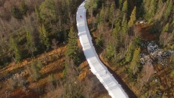 Skiers Skiing Snow Covered Trail Path Swedish Alpine Forest Resort — стокове відео