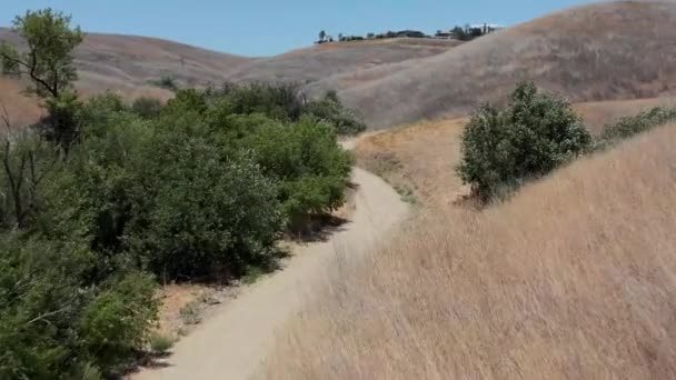 丘の中腹に乾いたブラシで峡谷の底にある緑の木々に沿って飛ぶドローンショット — ストック動画