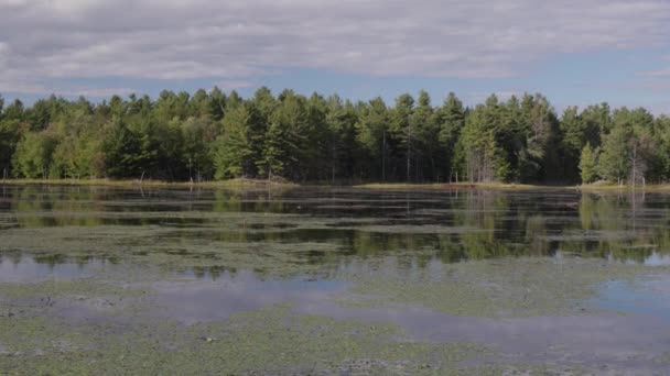 Statické Slunné Jezero Ontario Denní Čas — Stock video