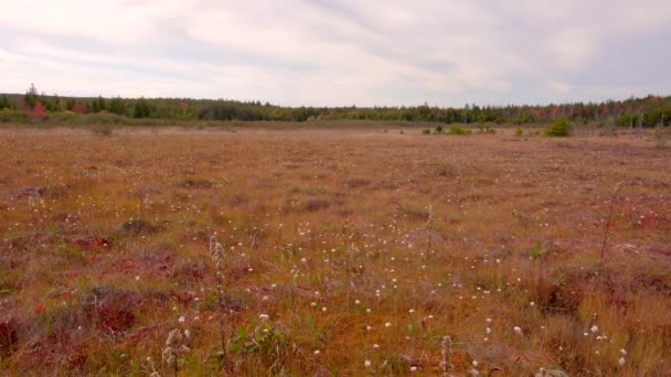 Sartén Lenta Coloridos Campos Principios Otoño Virginia Occidental — Vídeo de stock