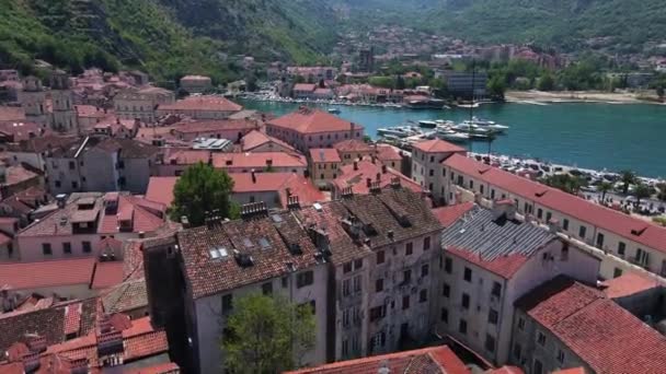 Città Vecchia Kotor Montenegro Veduta Aerea Dell Antico Forte Del — Video Stock