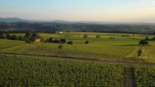Luchtfoto Het Platteland Van Piemonte Zonsondergang Italië Omgekeerde Drone Shot — Stockvideo