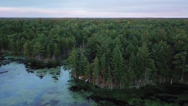 オンタリオ州の小さな湖でドローン 海岸線のカヌー — ストック動画