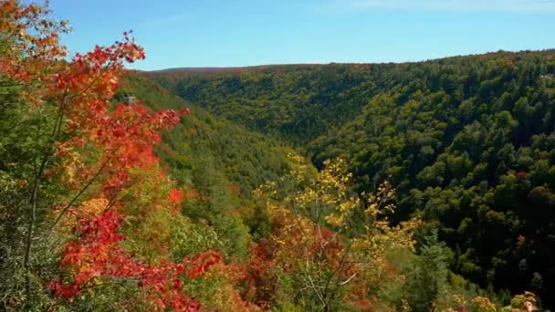 初秋の間 ウェストバージニア州の山の上から渓谷を見下ろす — ストック動画
