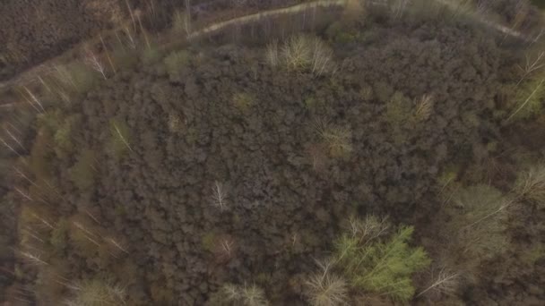 Tree Overgrown Mountain Quarries Inglês Pedestal Aéreo Para Cima Tiro — Vídeo de Stock