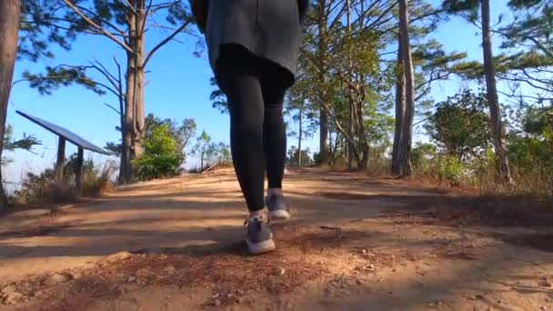 Jovem Loira Caminhando Uma Trilha Florestal Direção Ponto Vista Doi — Vídeo de Stock