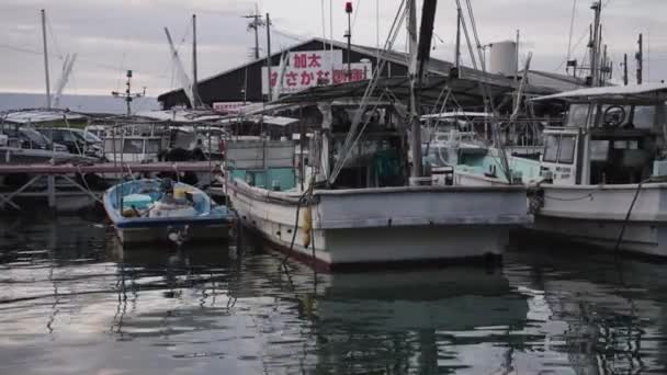 Vissersboten Kada Port Wakayama Japan — Stockvideo