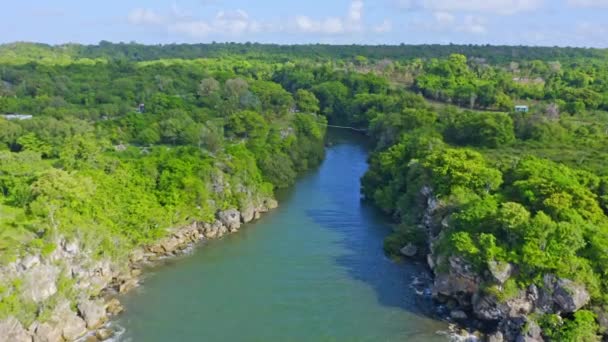 夏の日の間 空中ドローンは牧歌的なユマ川と緑の深いジャングルの森を飛ぶ ドミニカ共和国の東地域 — ストック動画