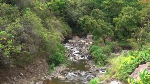 Aerial Zoom Show Tropical Tranquil River Iao Valley Hawaii Deep — Stock Video