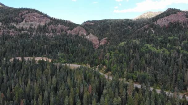 Sobrevoo Aéreo Belas Árvores Florestais Estrada Rural Montanhas Durante Céu — Vídeo de Stock