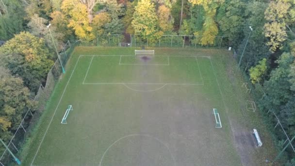 Campo Calcio Nascosto Segreto Nella Foresta Zoom Aereo Fuori Colpo — Video Stock