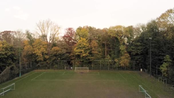 Verlassener Fußballplatz Umgeben Von Einem Wunderschönen Üppigen Waldpark Drohnenschuss Auf — Stockvideo