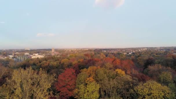 Skyline Van Het Prachtige Gekleurde Herfstpark Woluwe Brussel België — Stockvideo