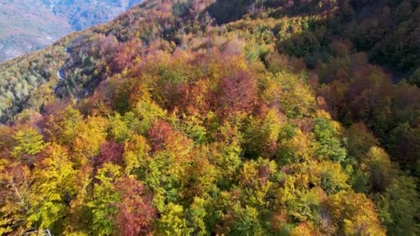 Alpská Cesta Uvnitř Hustého Divokého Lesa Barevnými Stromy Podzimu Letecké — Stock video