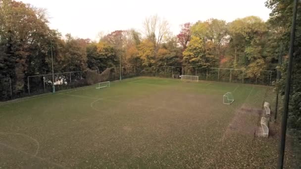 空の秋のサッカー場の空中追跡ショット ピッチの遊び場でカラフルな落ち葉 — ストック動画