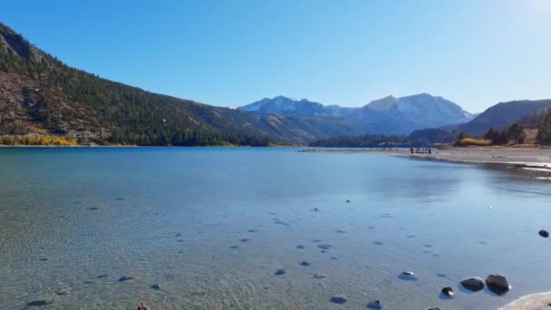 Lago Junio Con Aguas Cristalinas Poco Profundas Rocas Suelo Del — Vídeos de Stock