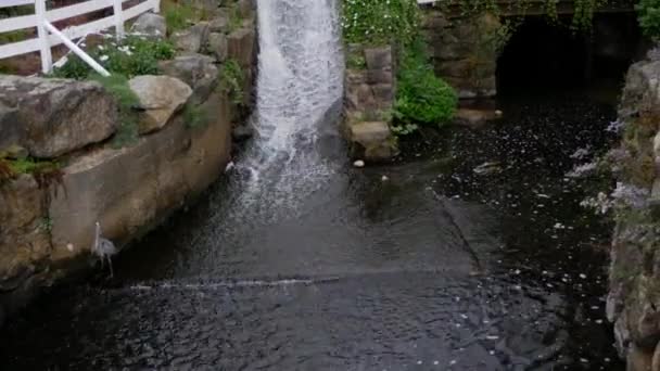 Ein Kleiner Wasserfall Verläuft Neben Einer Terrasse Und Blumen Ein — Stockvideo