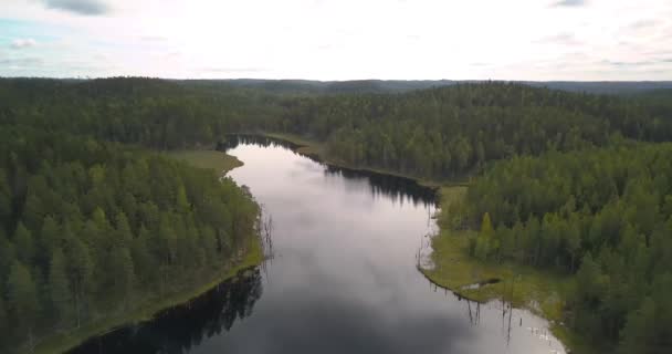 Flyger Över Lugna Sjön Med Spegelreflektion Omgiven Barrskog Finland Flygdrönare — Stockvideo