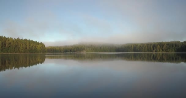 Mlha Mraky Stromy Kolem Jezera Voda Odrazem Dopoledních Hodinách Široký — Stock video