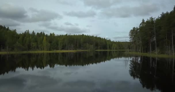 Spiegelreflectie Door Ongerept Meer Met Weelderig Bos Van Dennenbomen Finland — Stockvideo