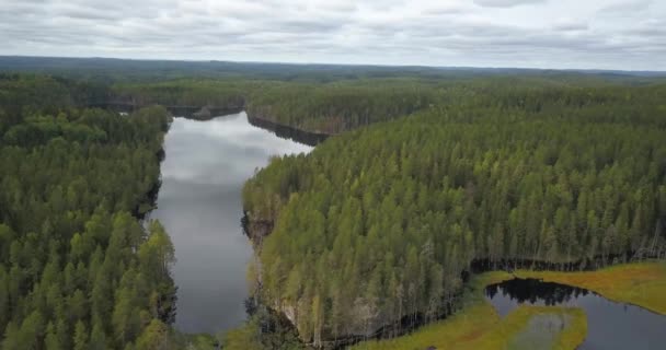 Lago Idilliaco Mezzo Verde Abete Rosso Thicket Con Cielo Nuvoloso — Video Stock