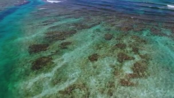 Drone Tiro Oceano Com Ondas Água Bonita — Vídeo de Stock