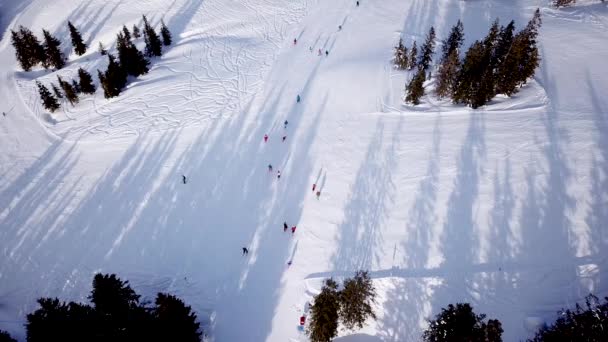 Panorámás Felülnézet Drónról Kábeles Úton Síközpontban Sífelvonó Szállító Síelők Snowboardosok — Stock videók