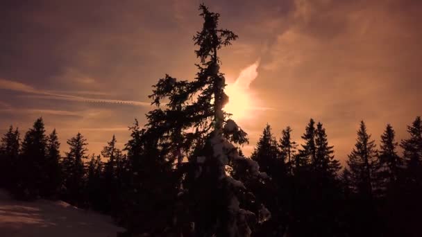 Besneeuwde Bergen Lage Wolken Blauwe Lucht Bij Zonsondergang Winter Panoramisch — Stockvideo