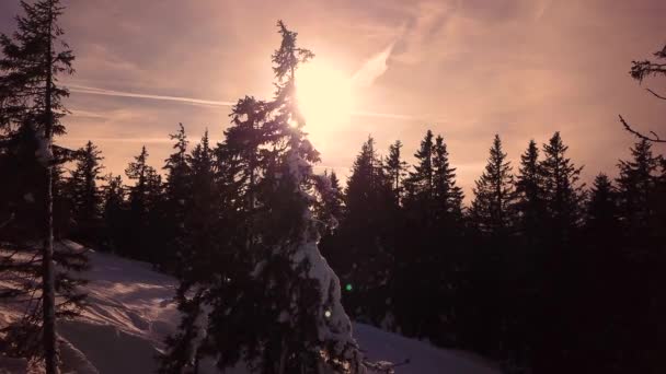 Besneeuwde Bergen Lage Wolken Blauwe Lucht Bij Zonsondergang Winter Panoramisch — Stockvideo