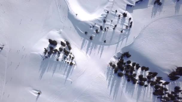 スキー場の丘の上の人々のスキーやスノーボードの空中ビュー ドローンはスキーヤーの上を飛ぶ丘 アルプスの山々をスキー — ストック動画