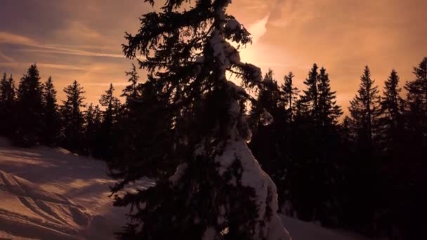 Havas Hegyek Alacsony Felhőkben Kék Télen Naplementekor Panorámás Táj Gyönyörű — Stock videók