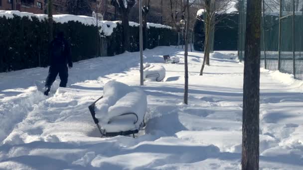 スノースーツ姿の男が雪の公園を歩いている 雪は公共のベンチや周辺の土地を覆う — ストック動画