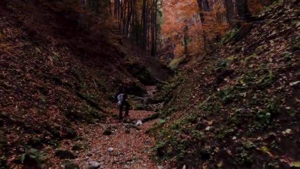 Man Walking Mountain Trail Forest Jesienią Średni Strzał — Wideo stockowe