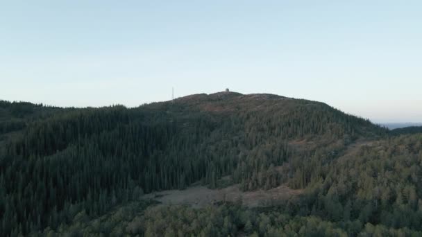 Vegetazione Verde Lussureggiante Grakallen Mountain Nella Zona Bymarka Nella Contea — Video Stock