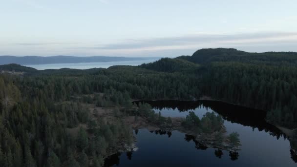 Panorama Lagos Rodeados Bosque Verde Grueso Campo Aéreos — Vídeos de Stock