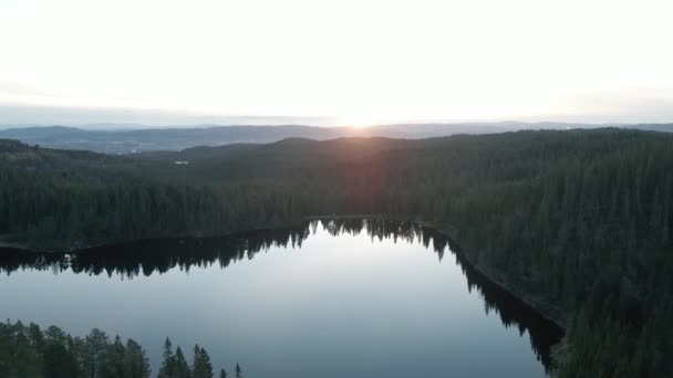 日の出時に針葉樹林に囲まれた湖の穏やかな水 — ストック動画
